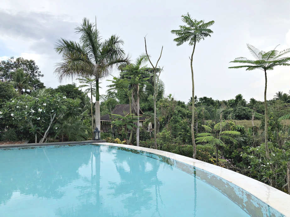 Overlooking Lagoon at Sitio de Amor, San Pablo City