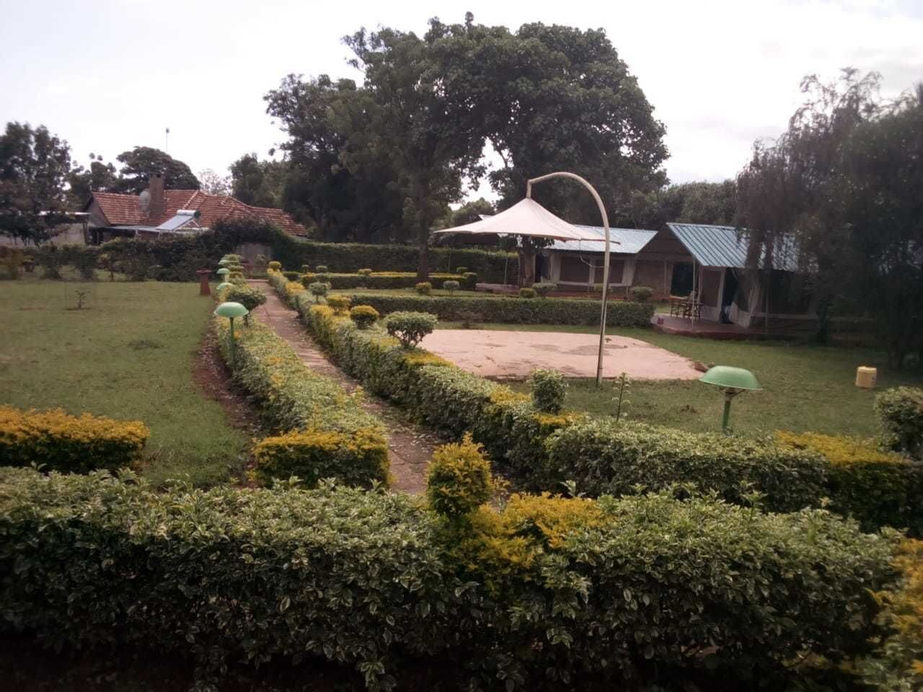 Spice Garden, Kieni