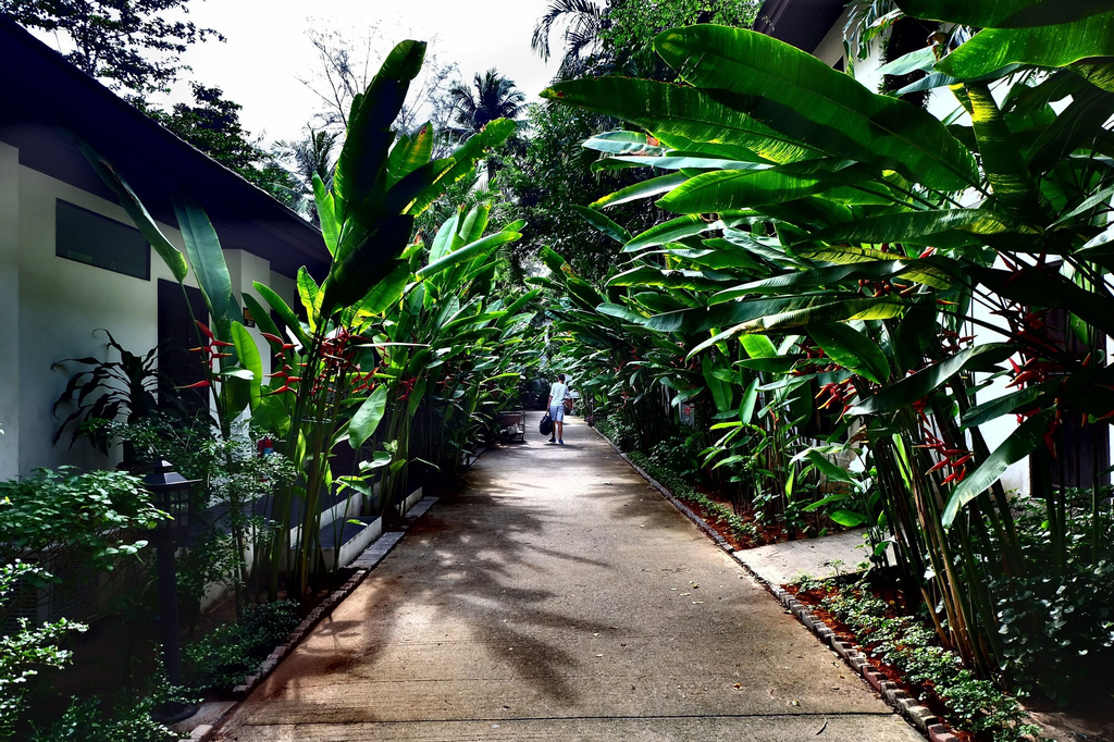 Nai Yang Beach Resort & Spa, Pulau Phuket