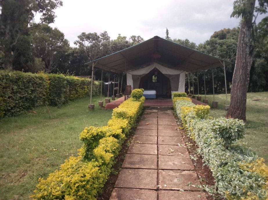 Spice Garden, Kieni