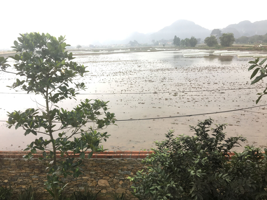 Trang An Secret Garden, Hoa Lư