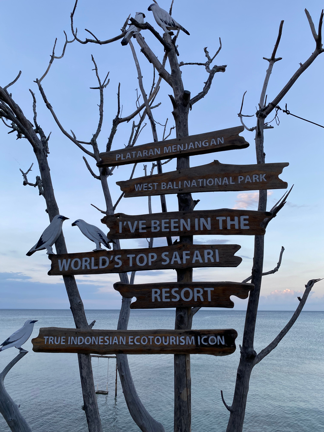 userImage-19