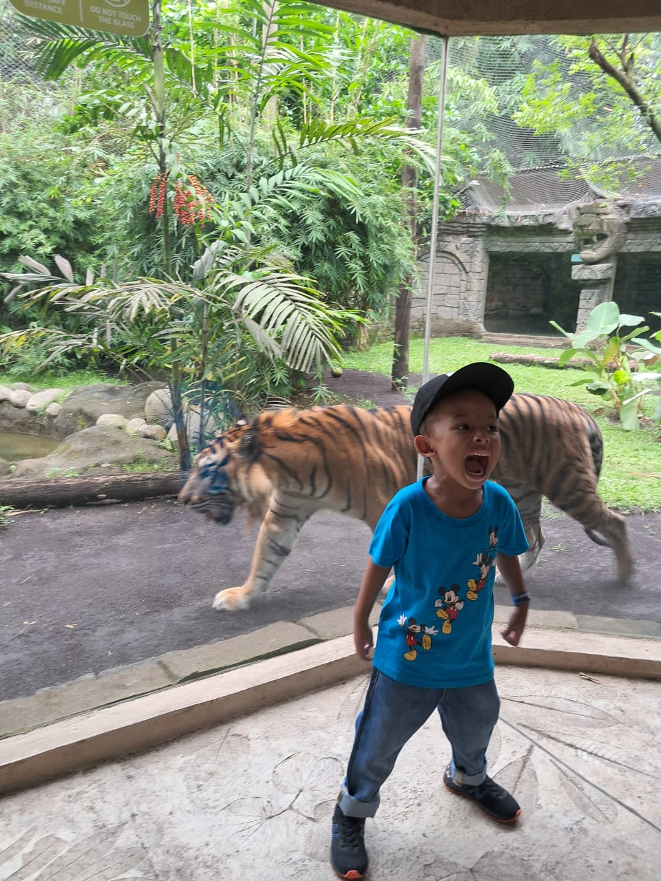 Cara Beli Tiket Indonesia Vs Thailand – iFaWorldCup.com