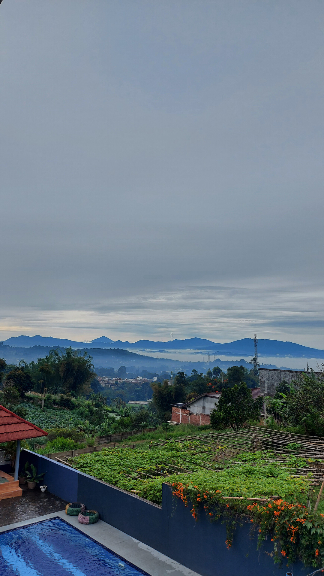 userImage-1