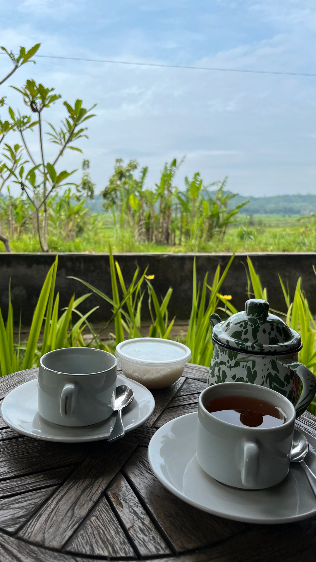 userImage-16