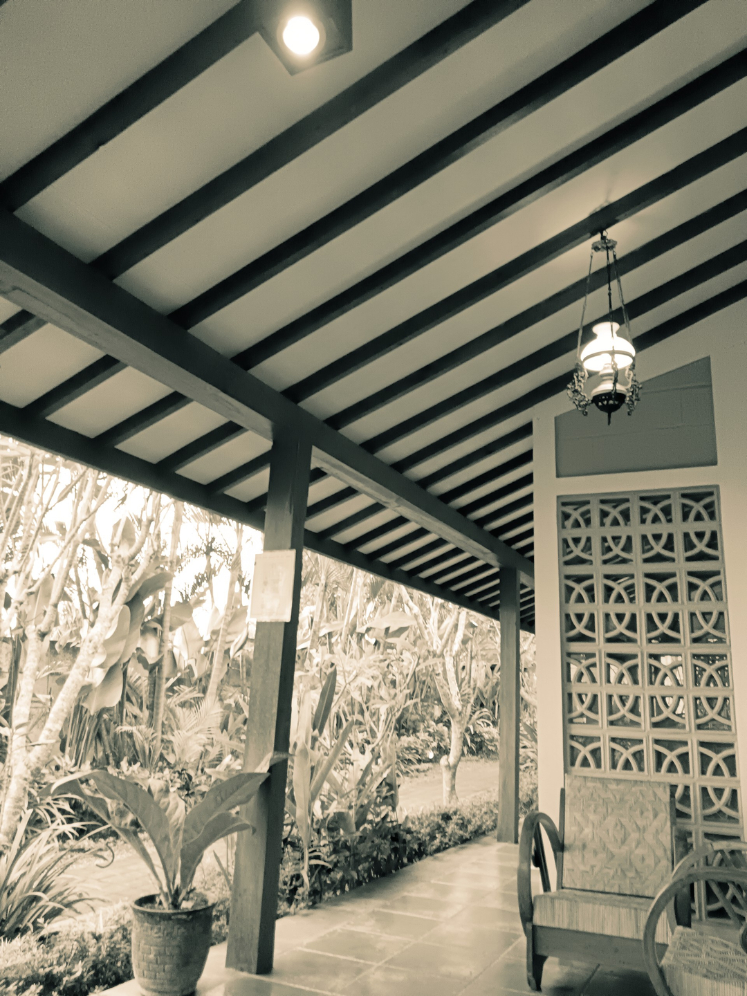 userImage-11