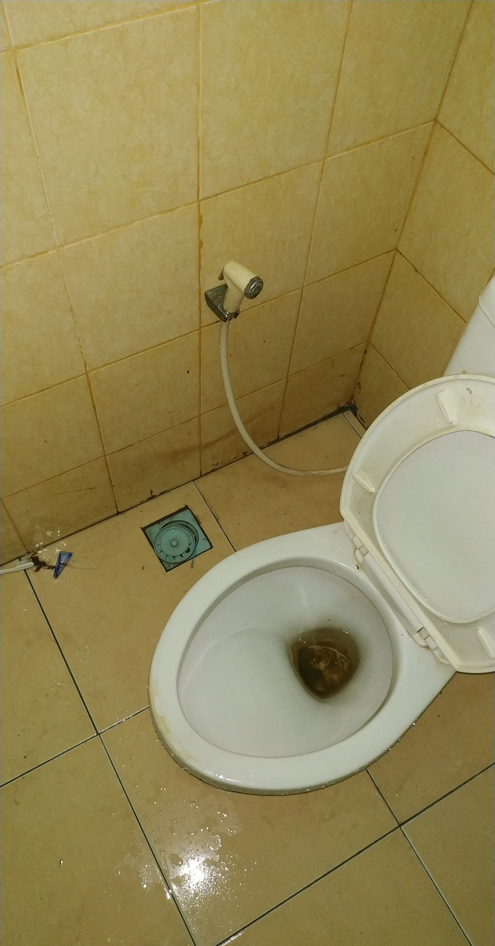 userImage-17