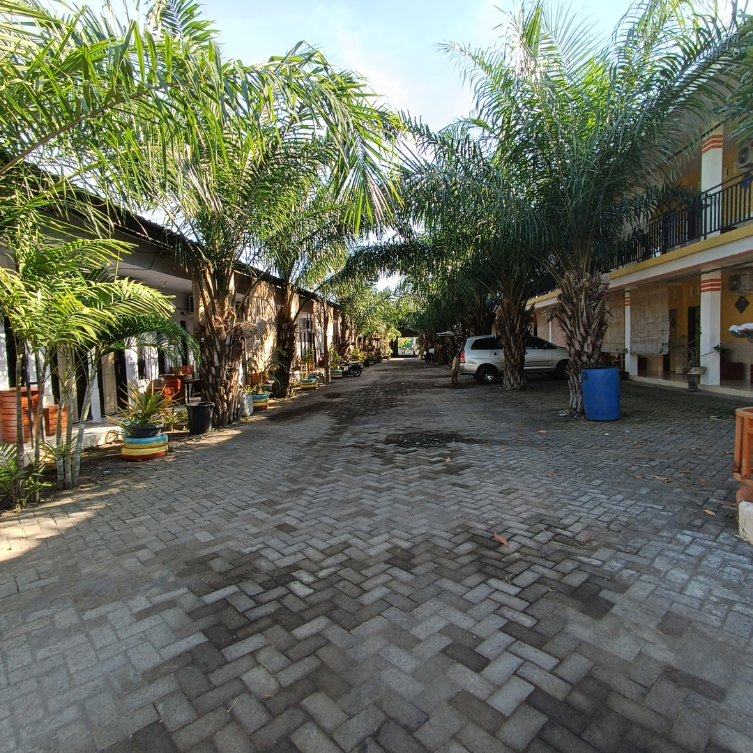 userImage-19