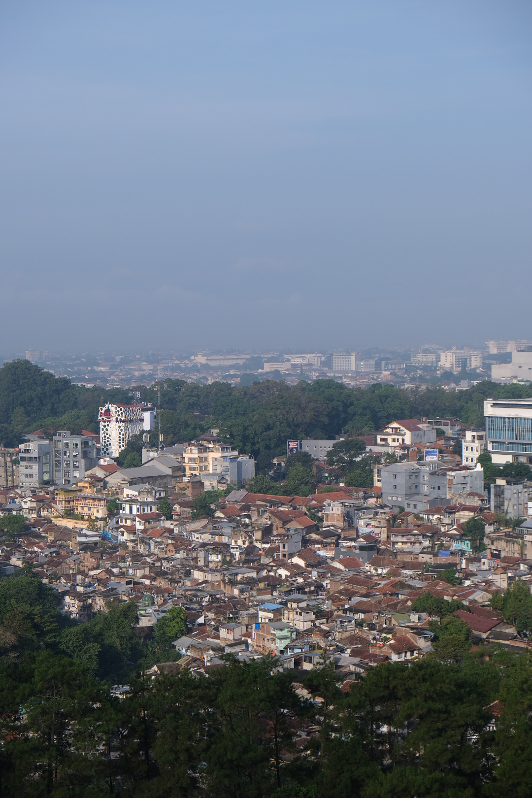 userImage-6
