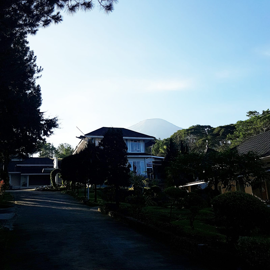 userImage-7