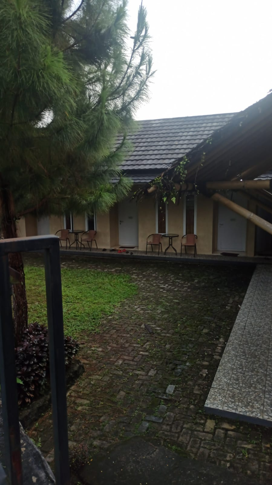 userImage-12