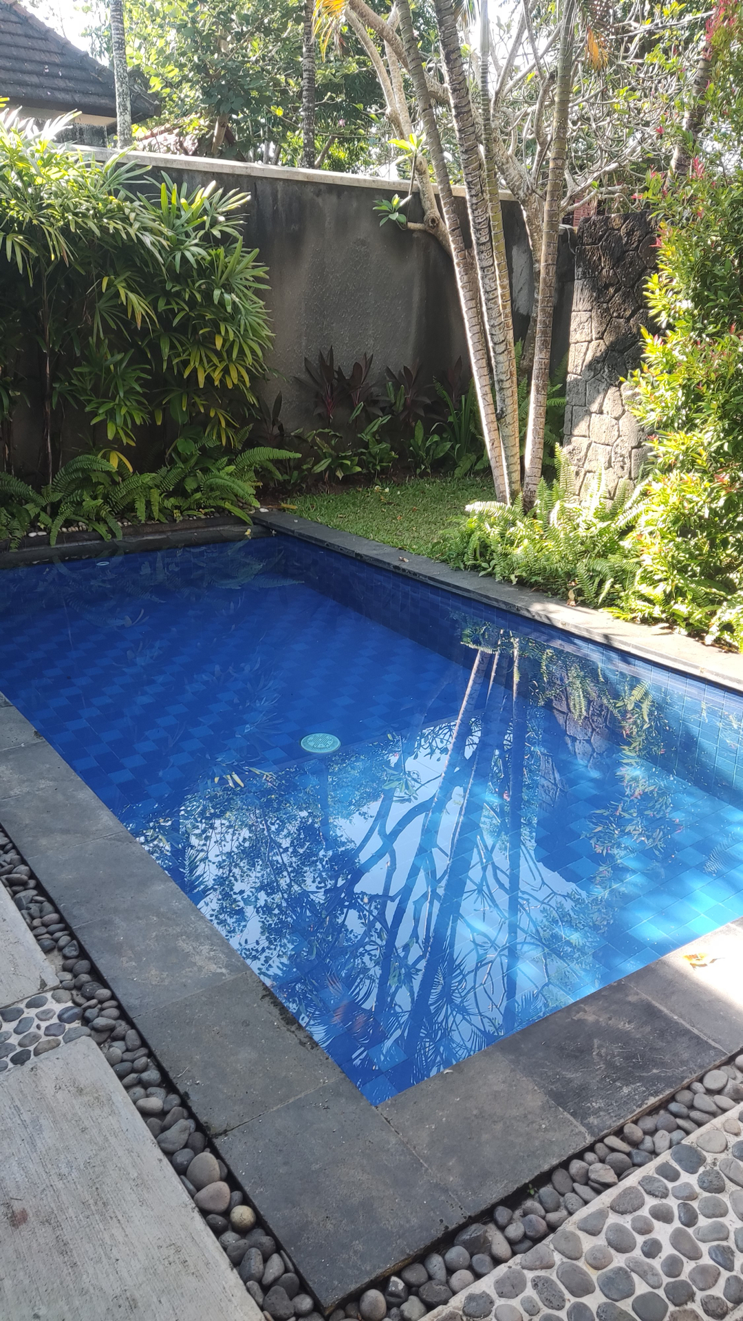 userImage-5