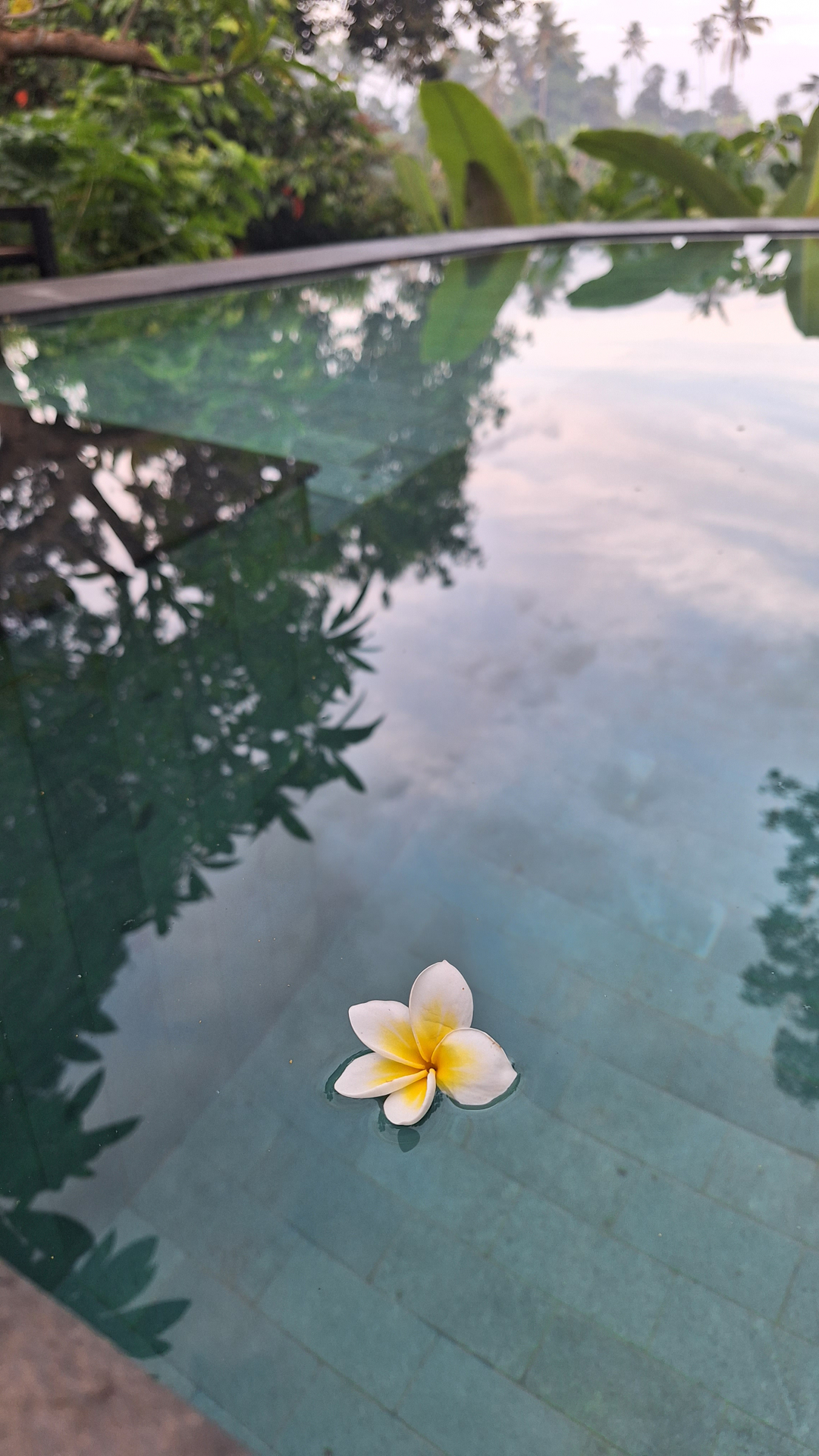 userImage-10