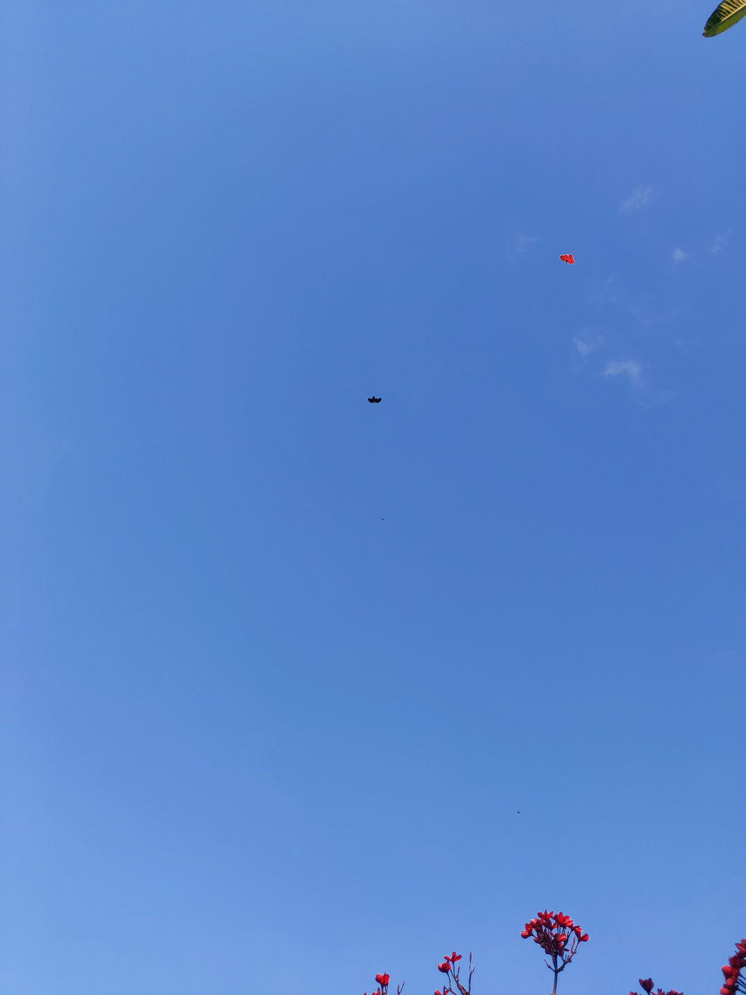 userImage-2