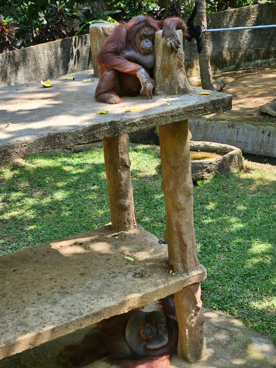 userImage-3