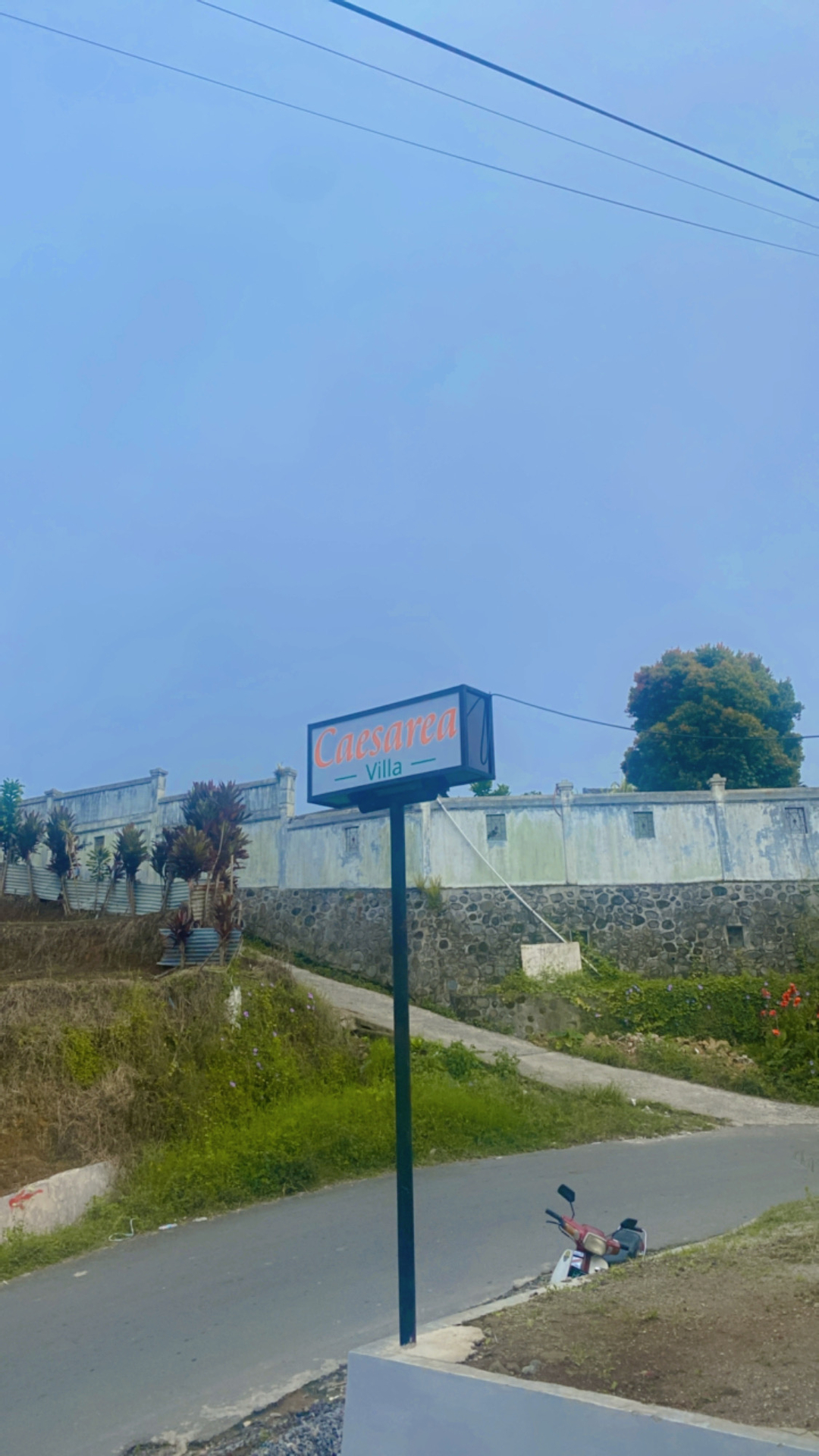 userImage-8