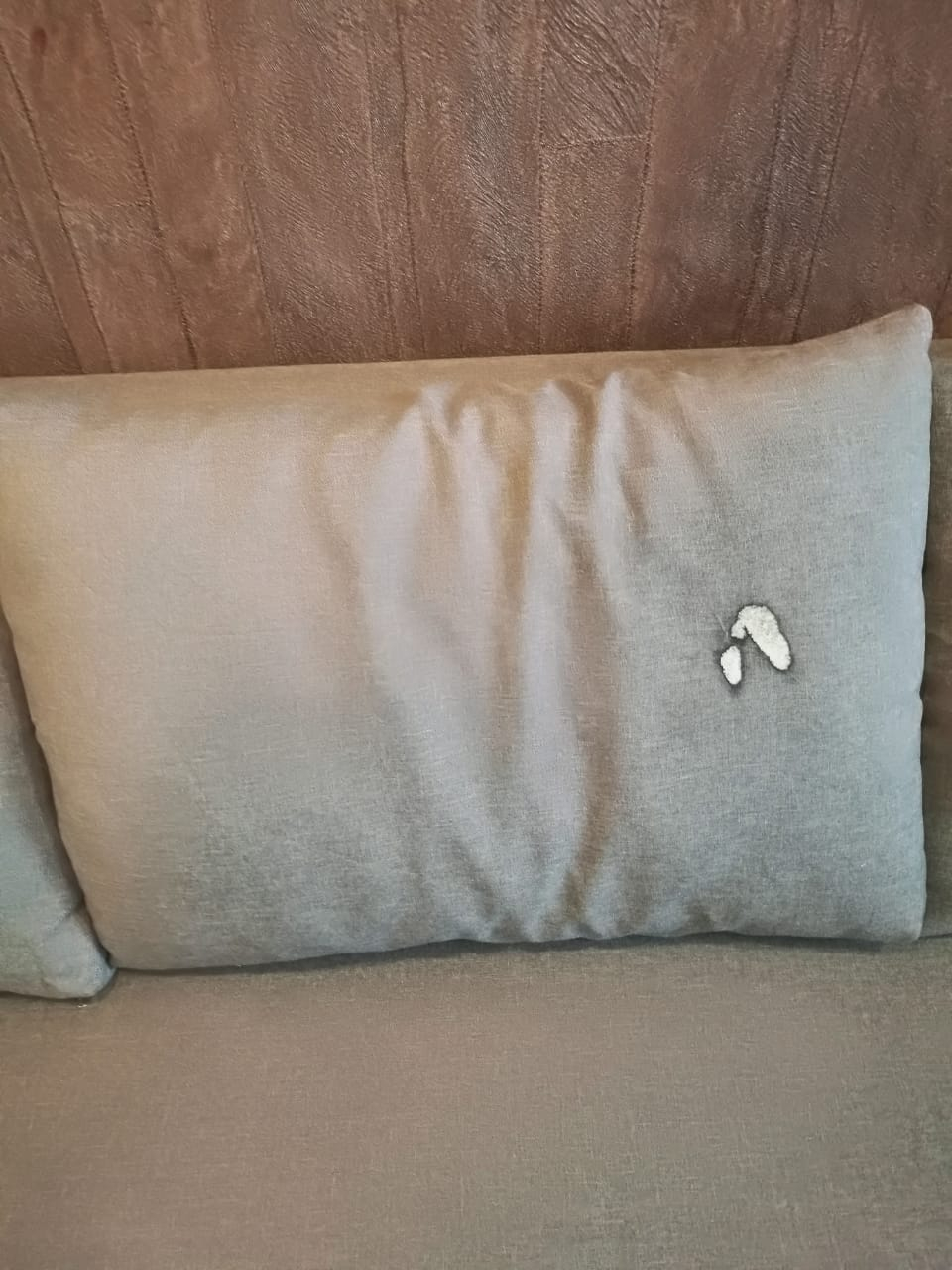 userImage-16