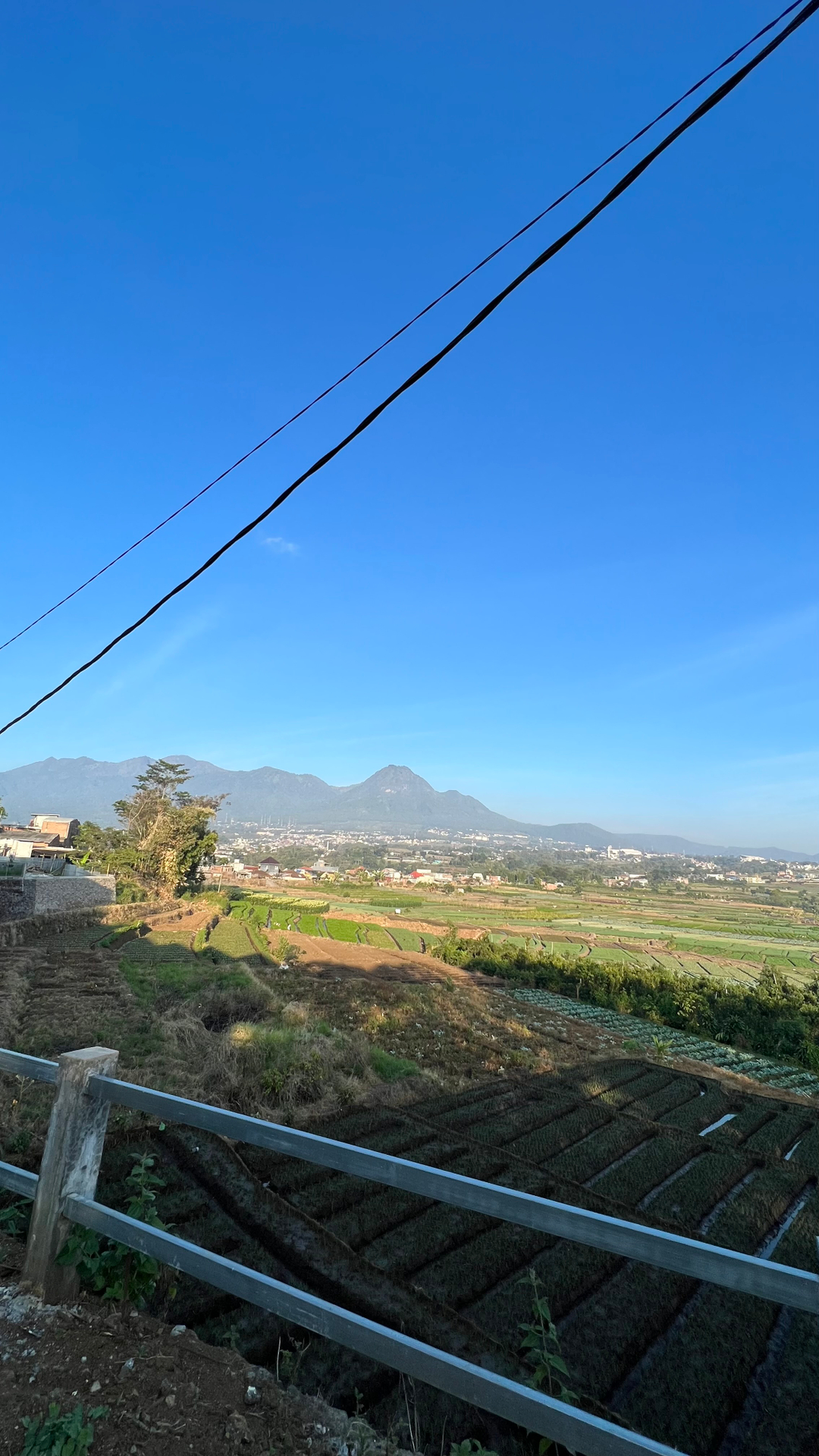 userImage-10