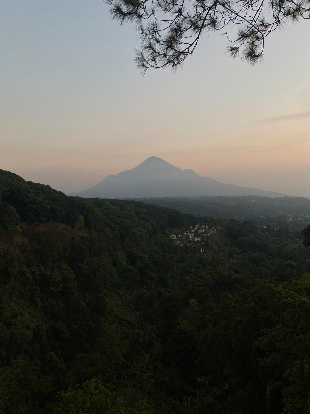 userImage-1