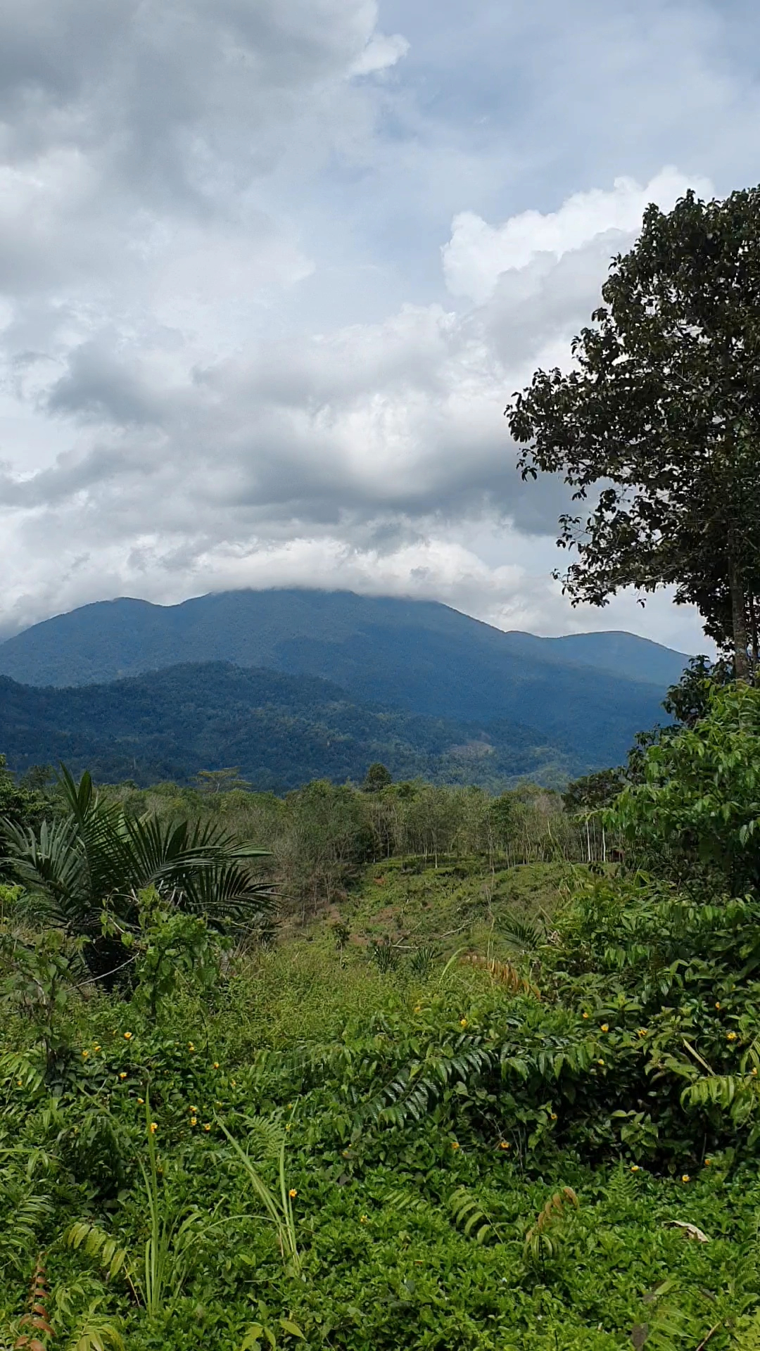 userImage-9