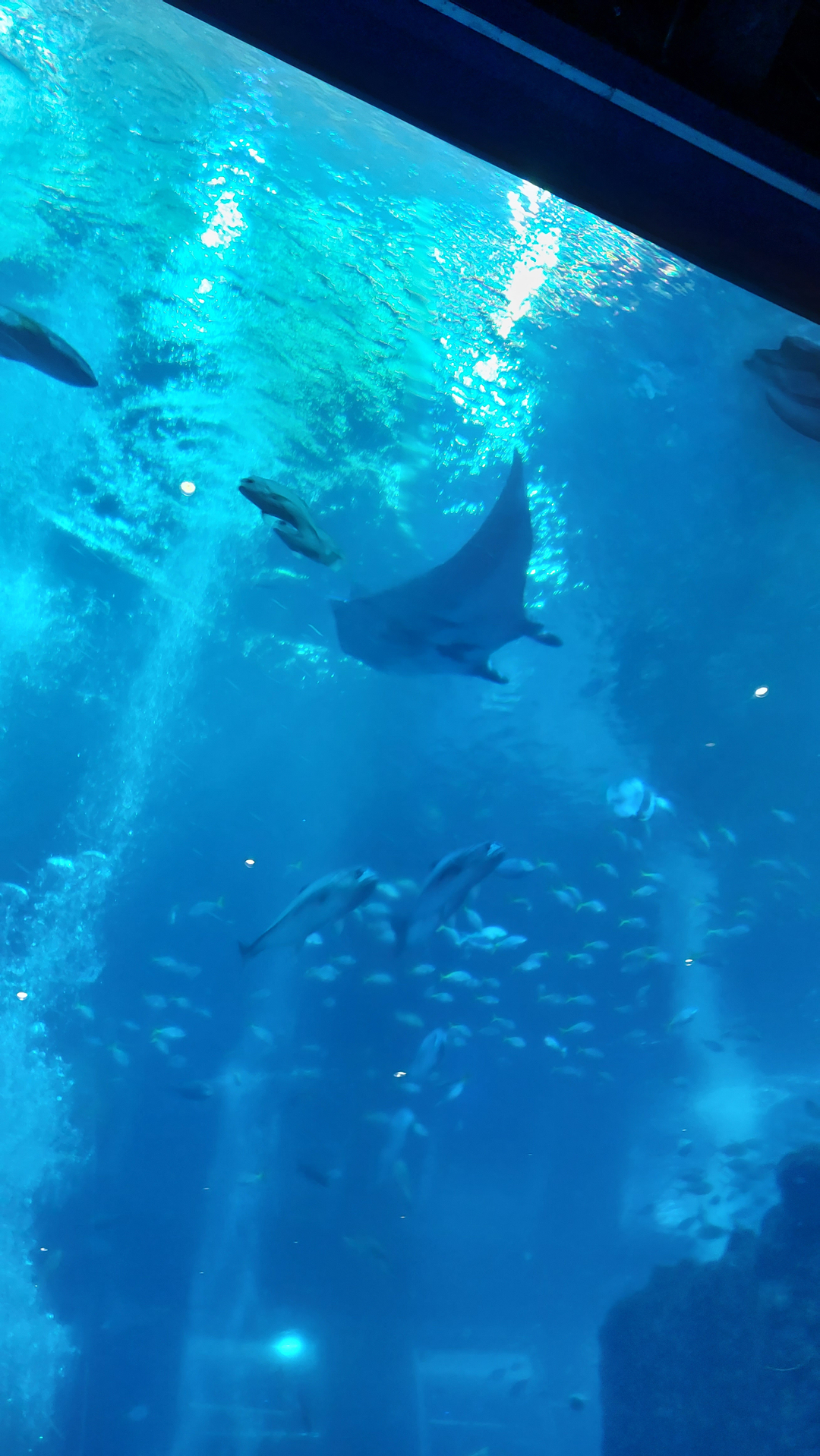 userImage-3
