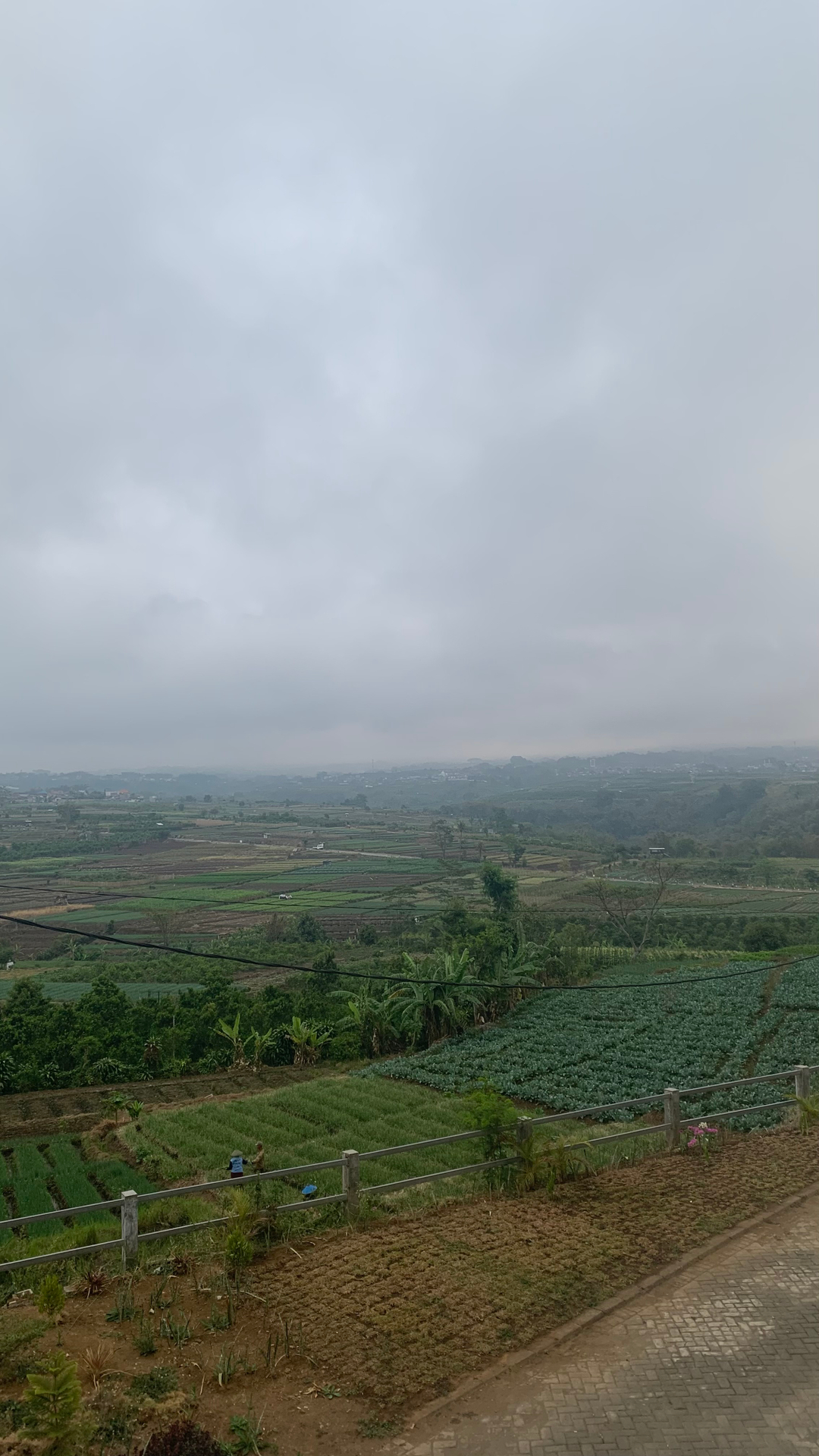 userImage-9