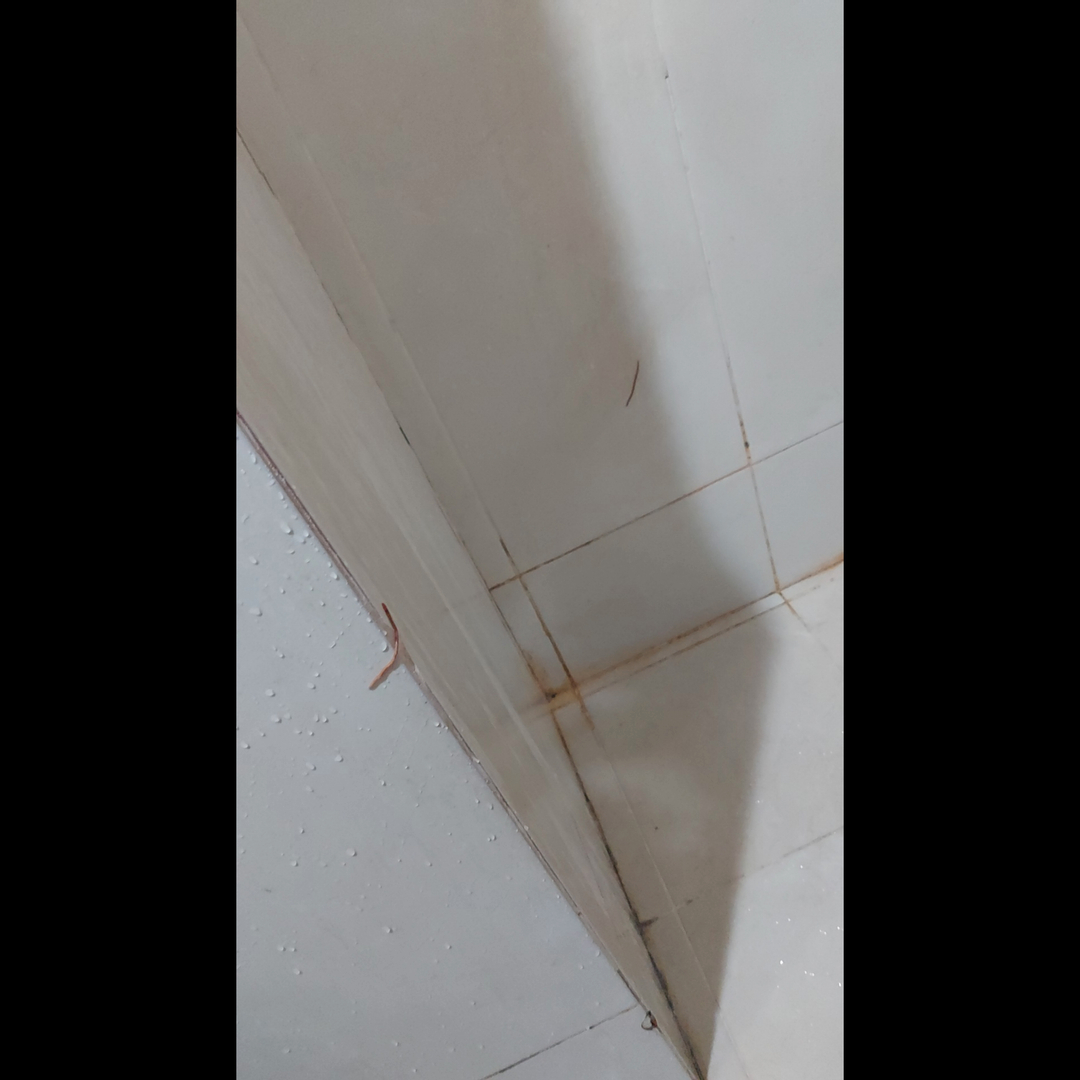 userImage-0