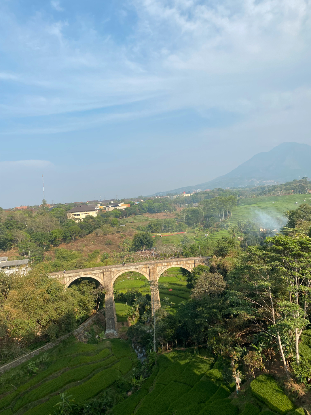 userImage-1