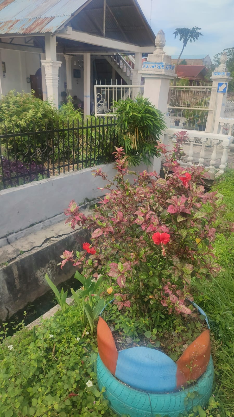 userImage-2
