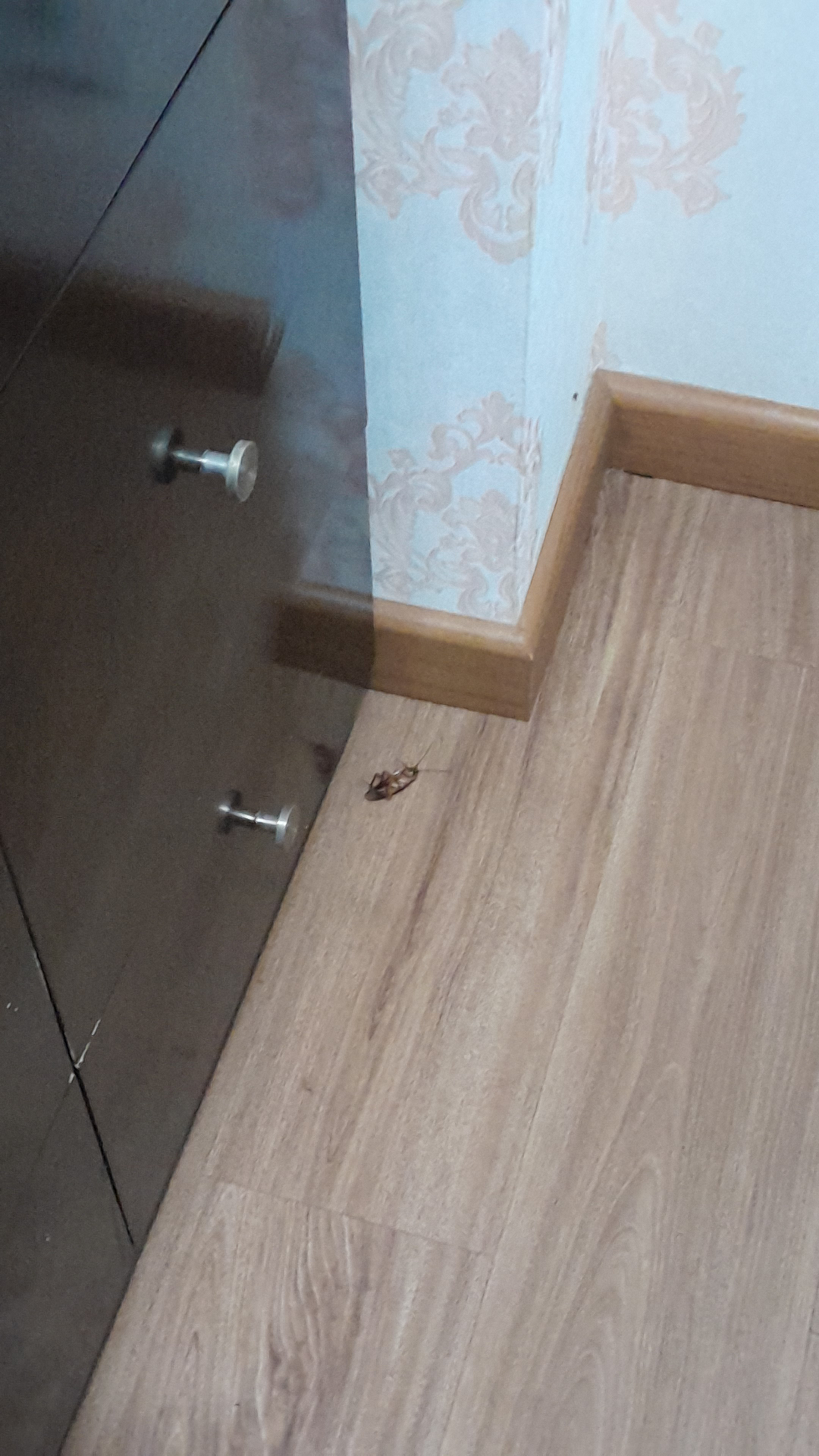 userImage-3