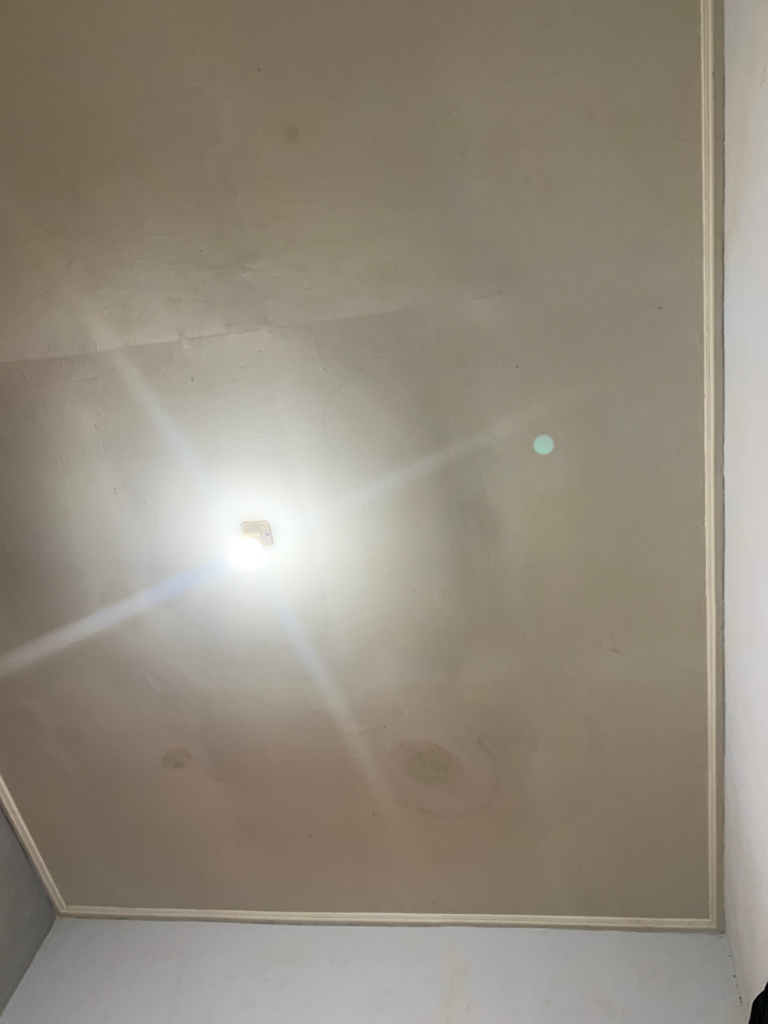 userImage-1