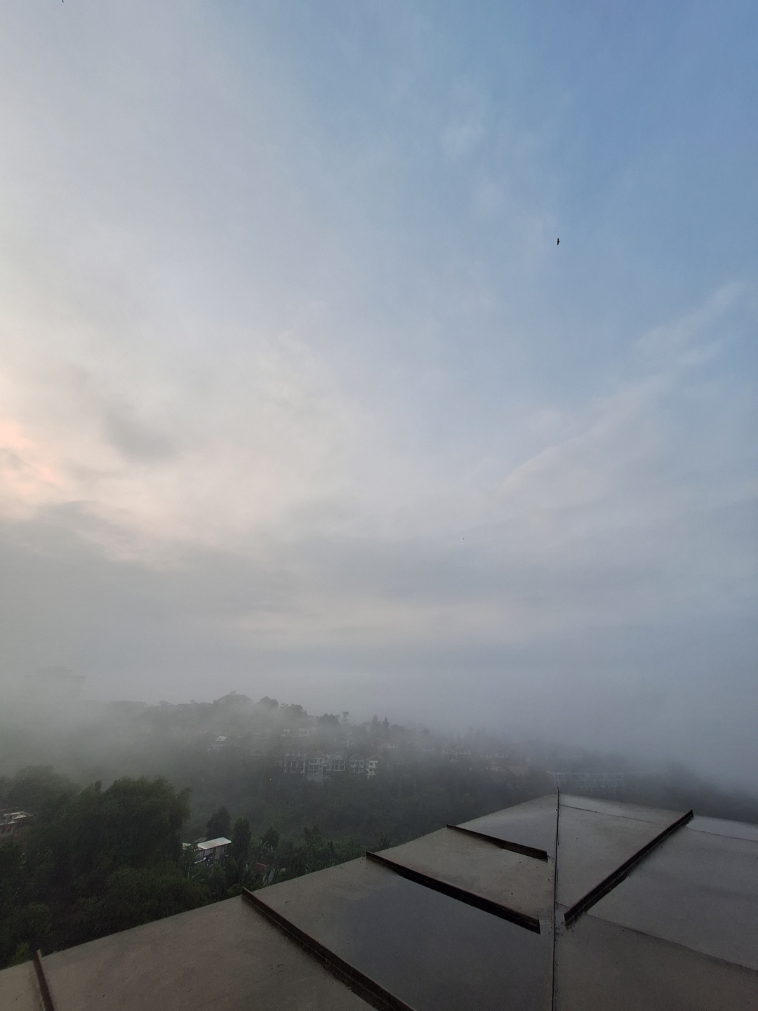 userImage-18
