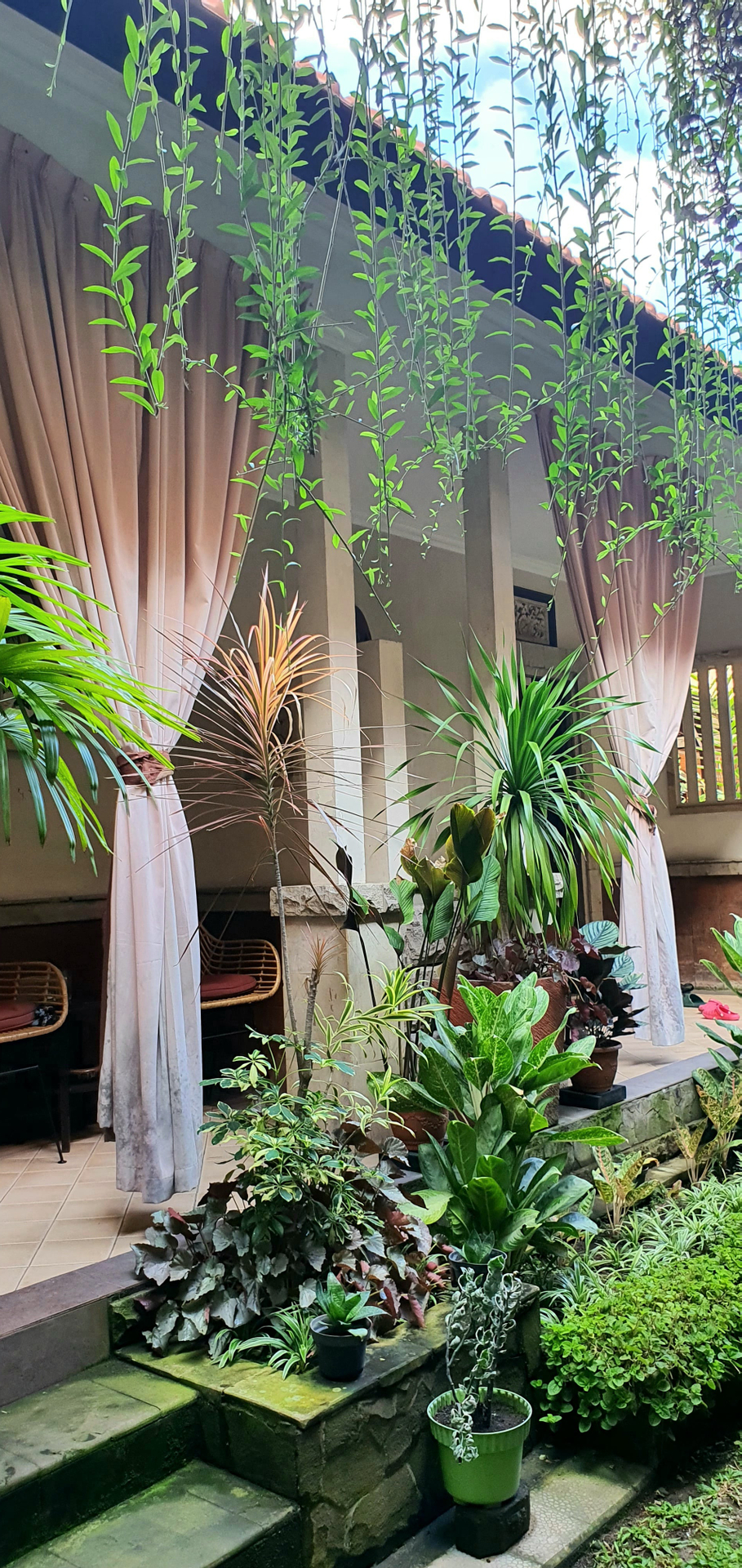 userImage-6