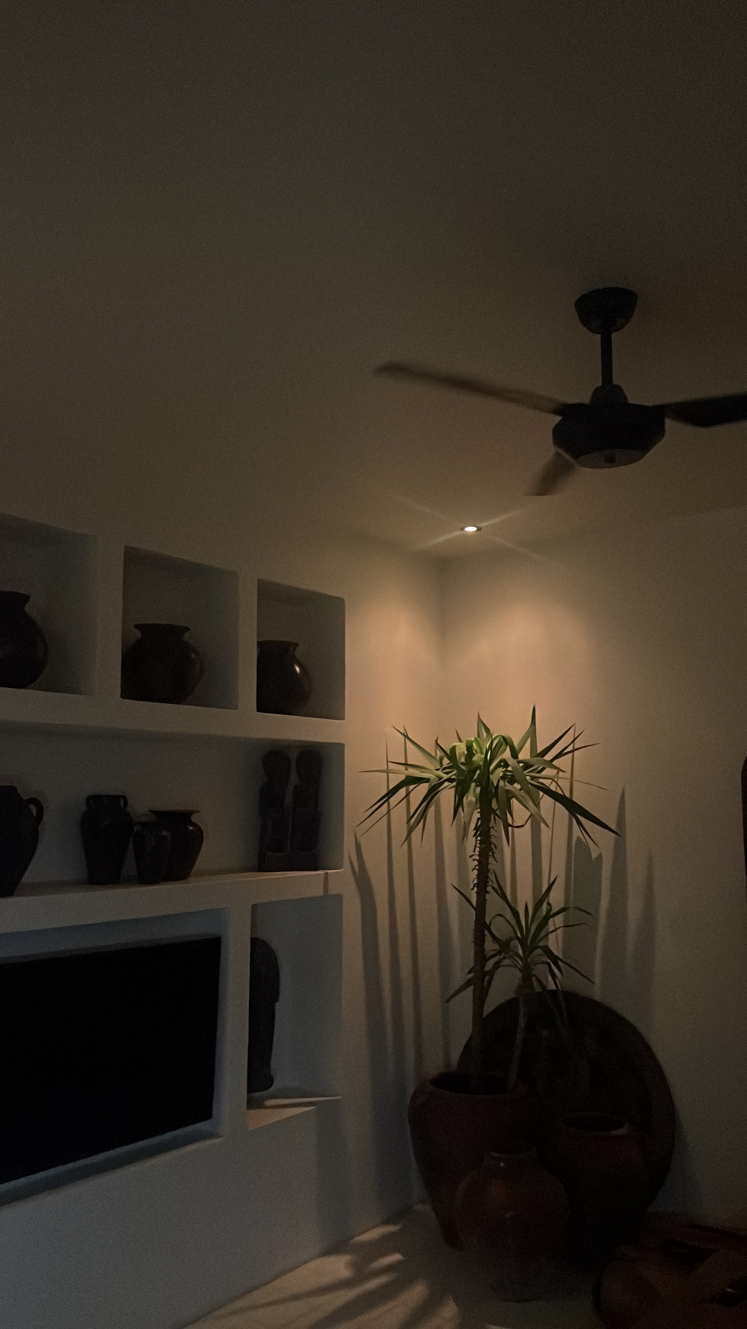 userImage-7