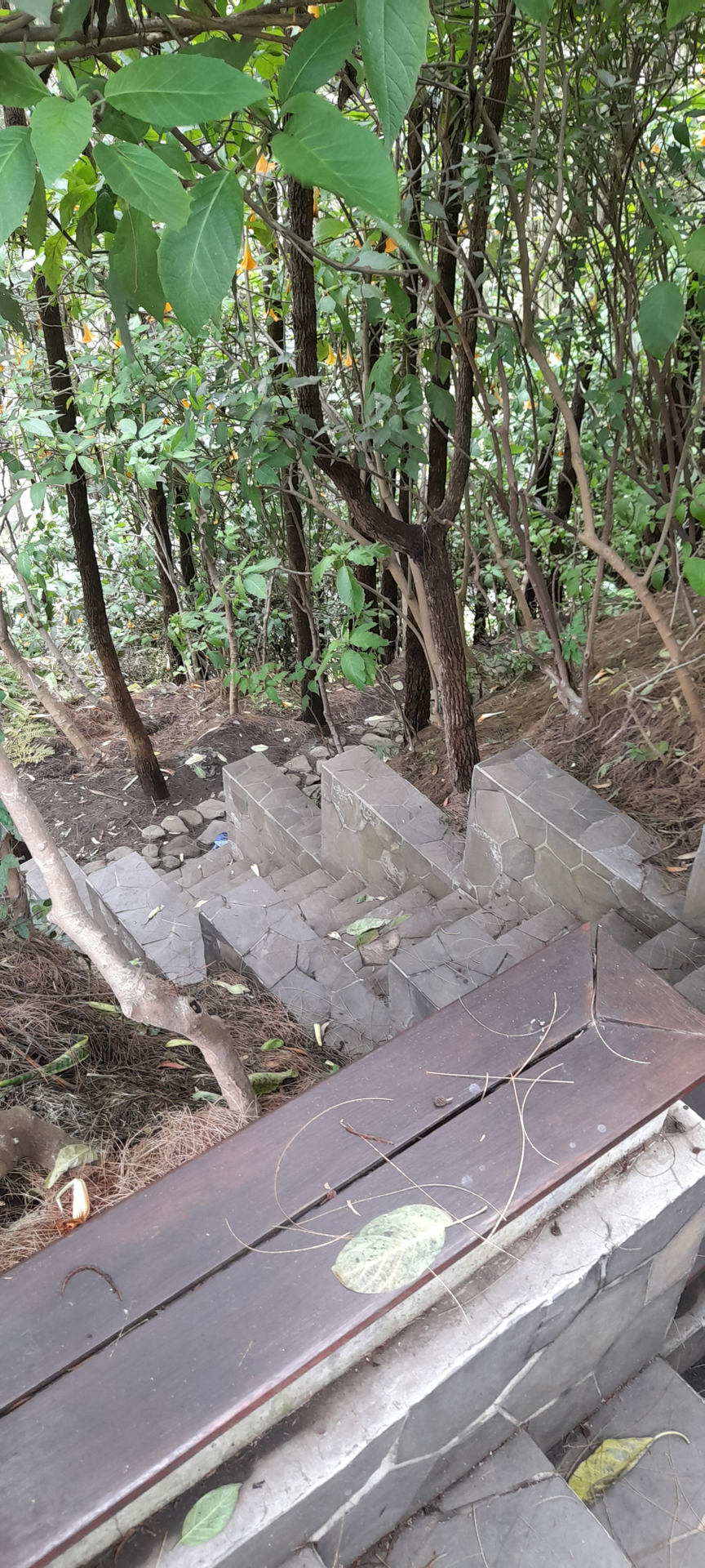 userImage-19