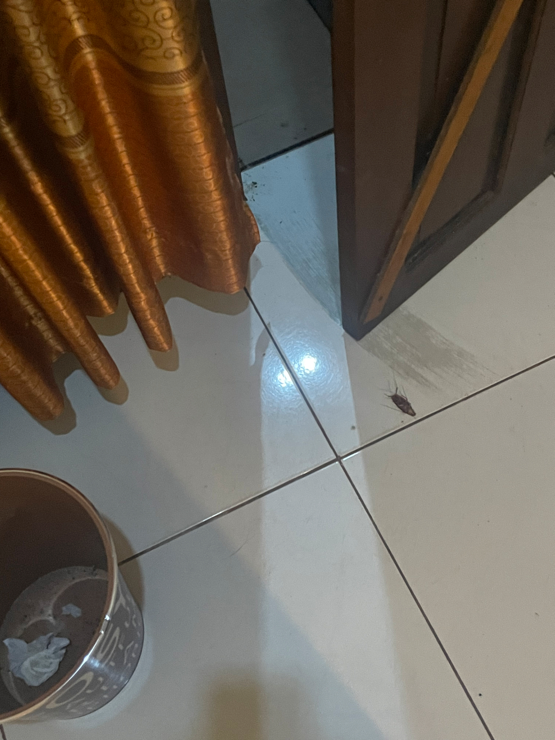userImage-6