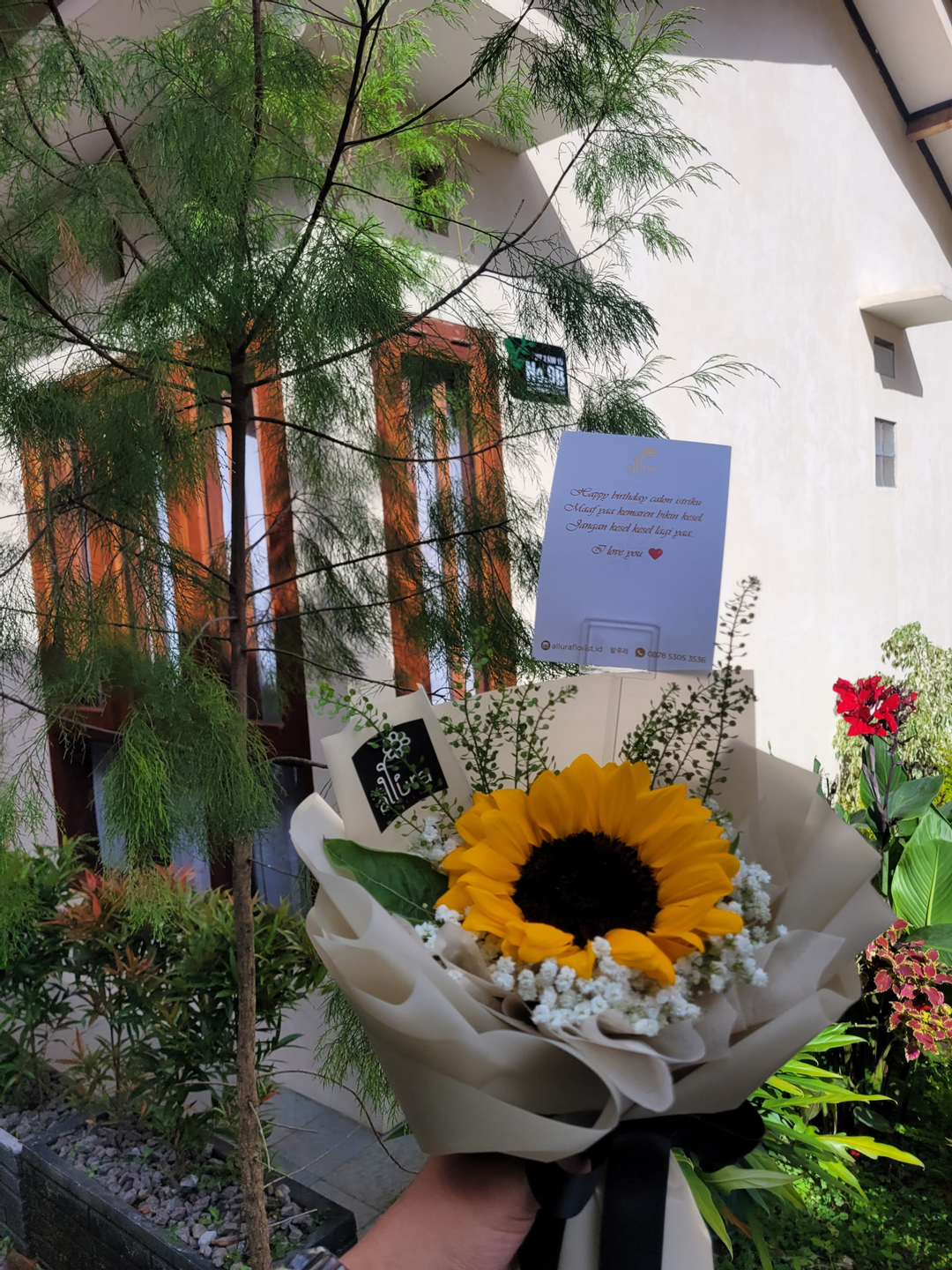 userImage-11