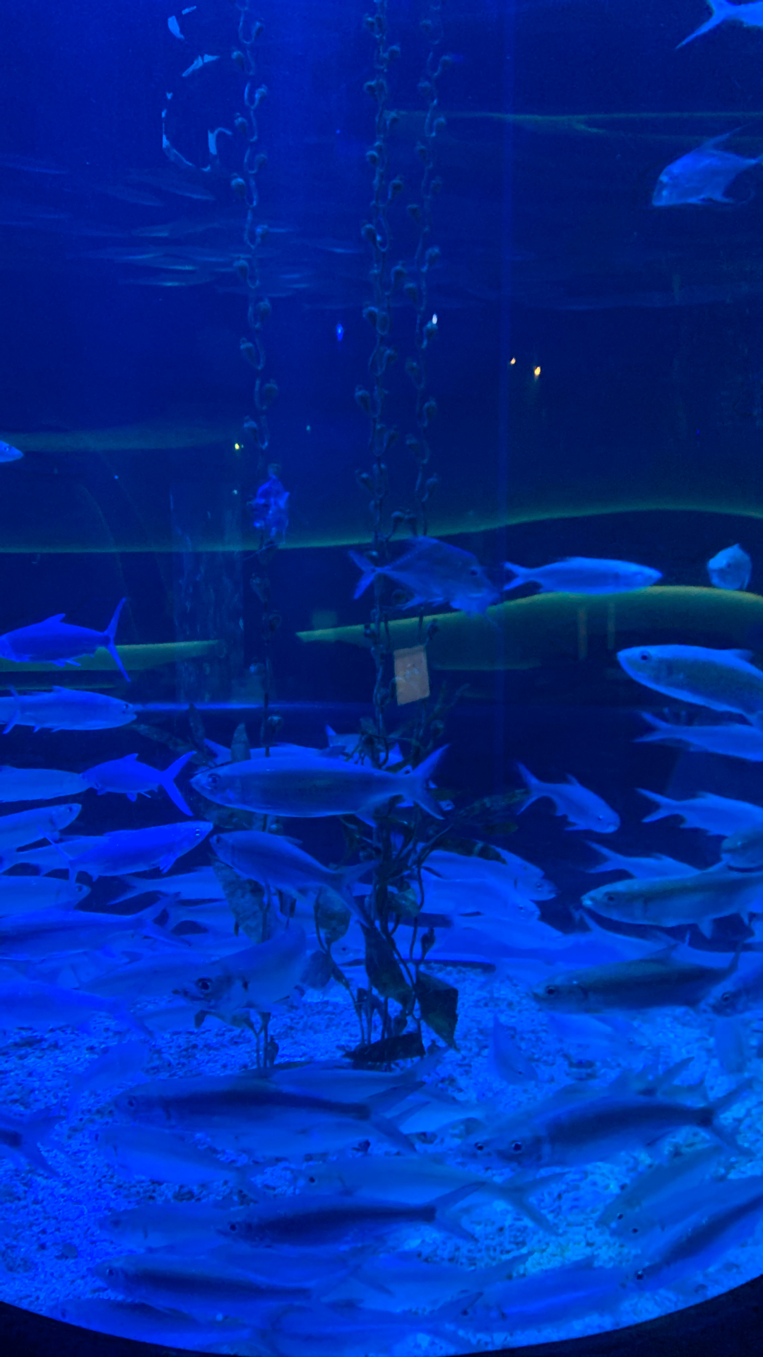 userImage-10