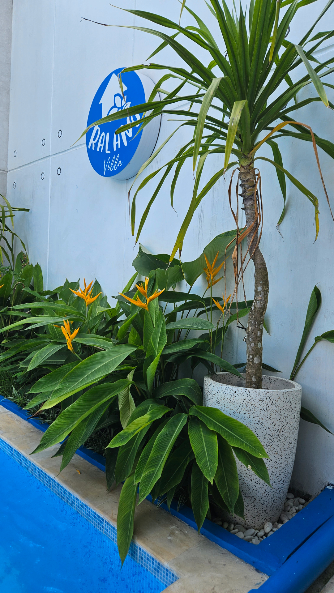 userImage-16