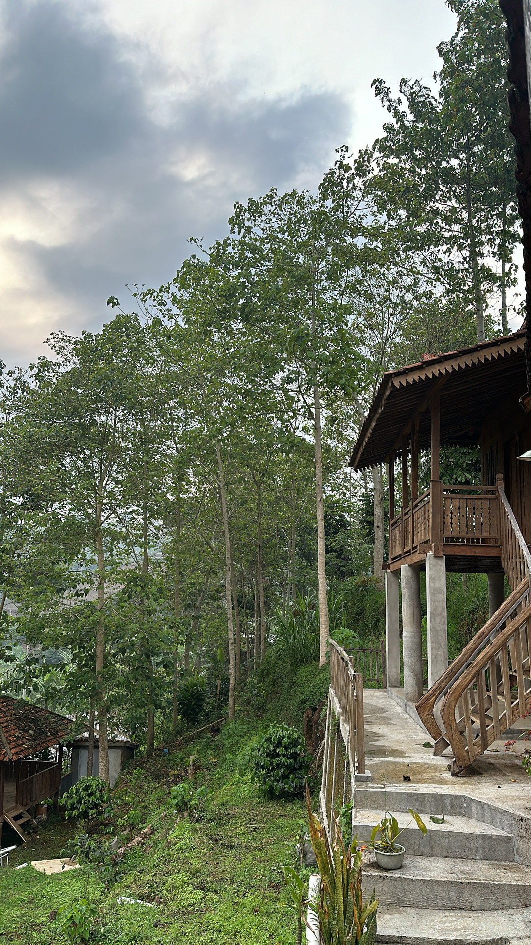 userImage-3