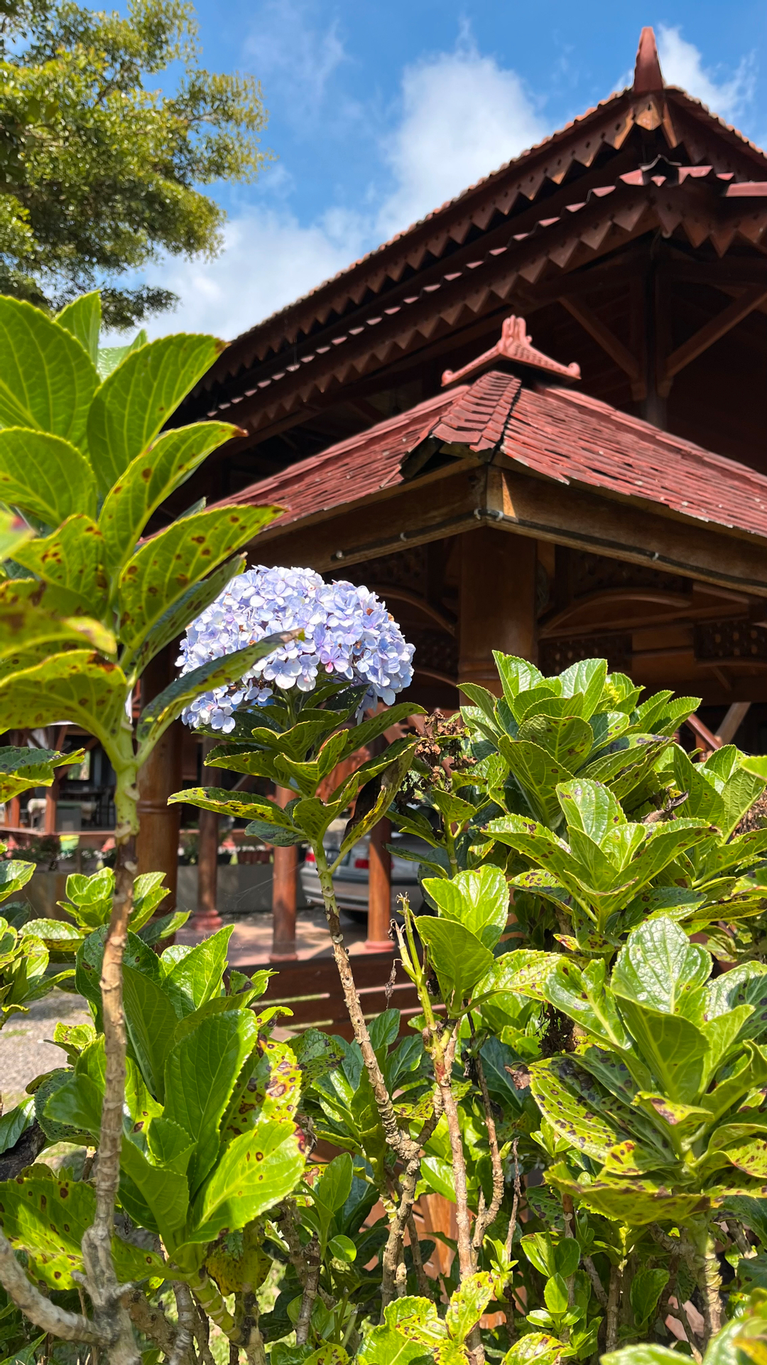 userImage-10