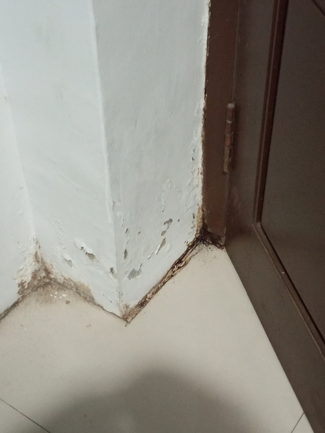 userImage-13