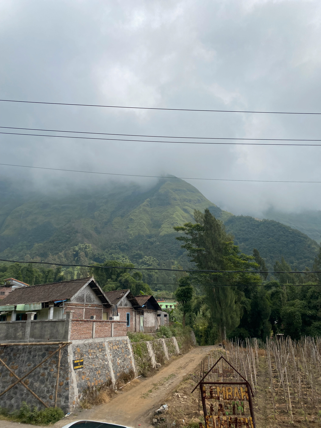 userImage-6