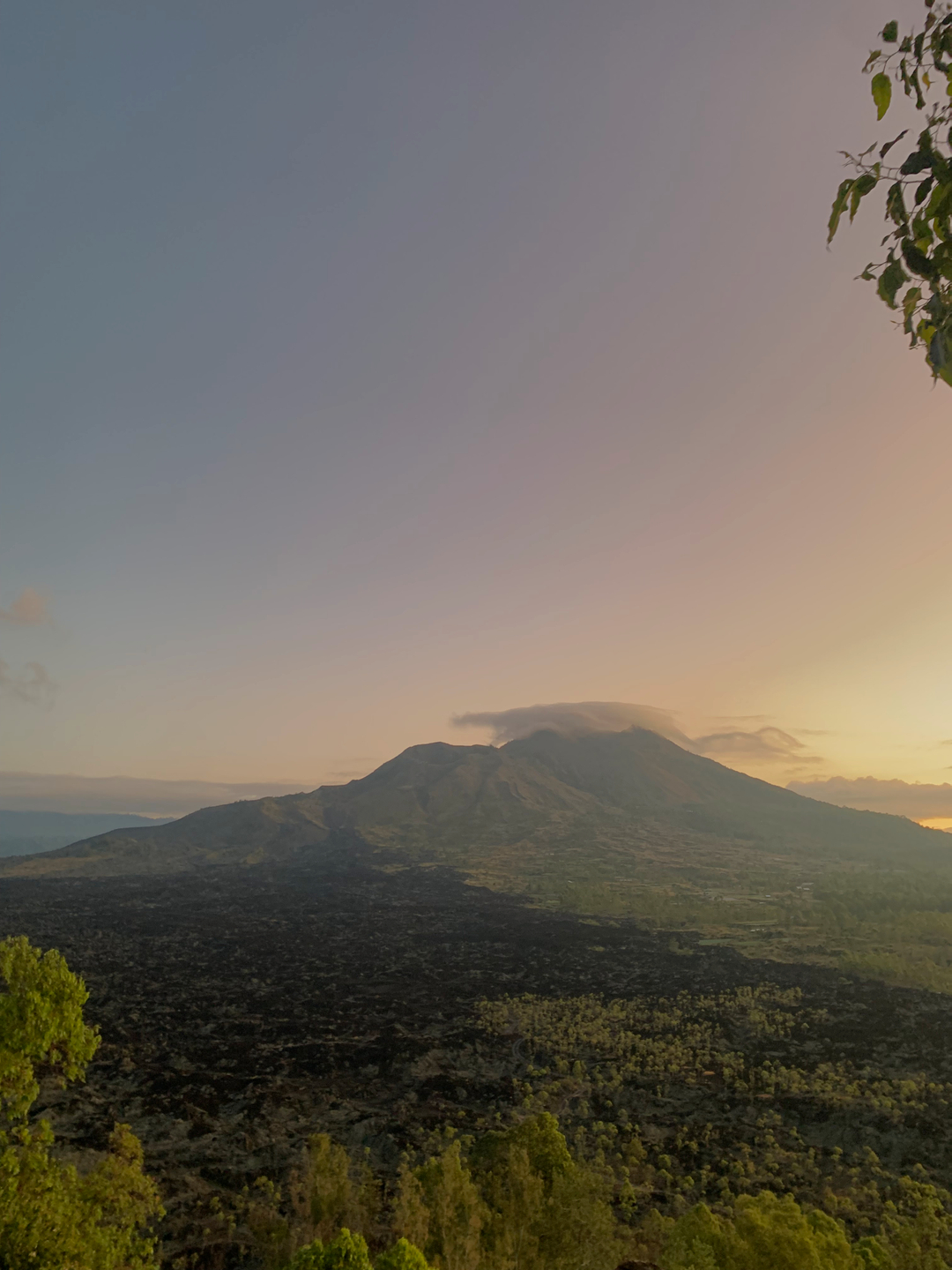 userImage-11
