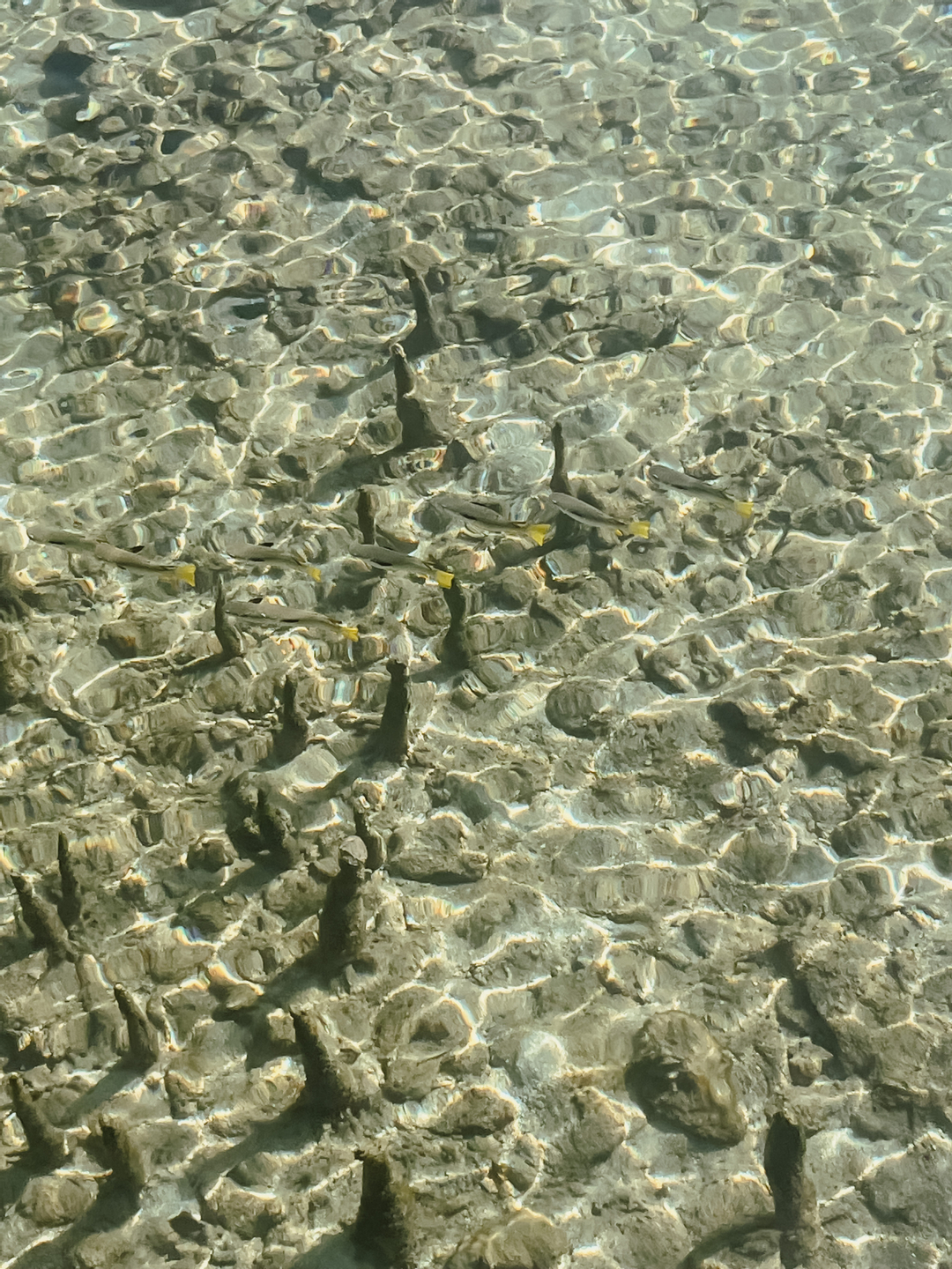 userImage-4