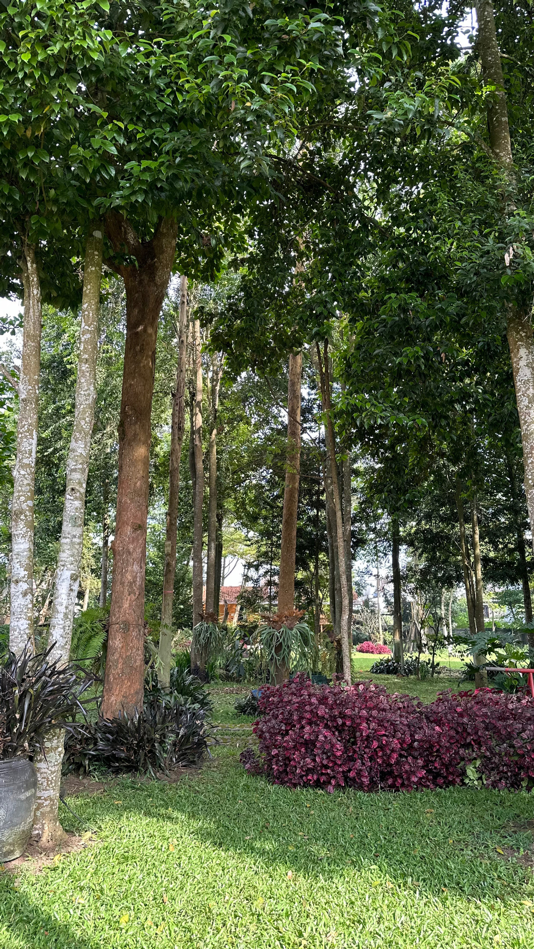 userImage-14