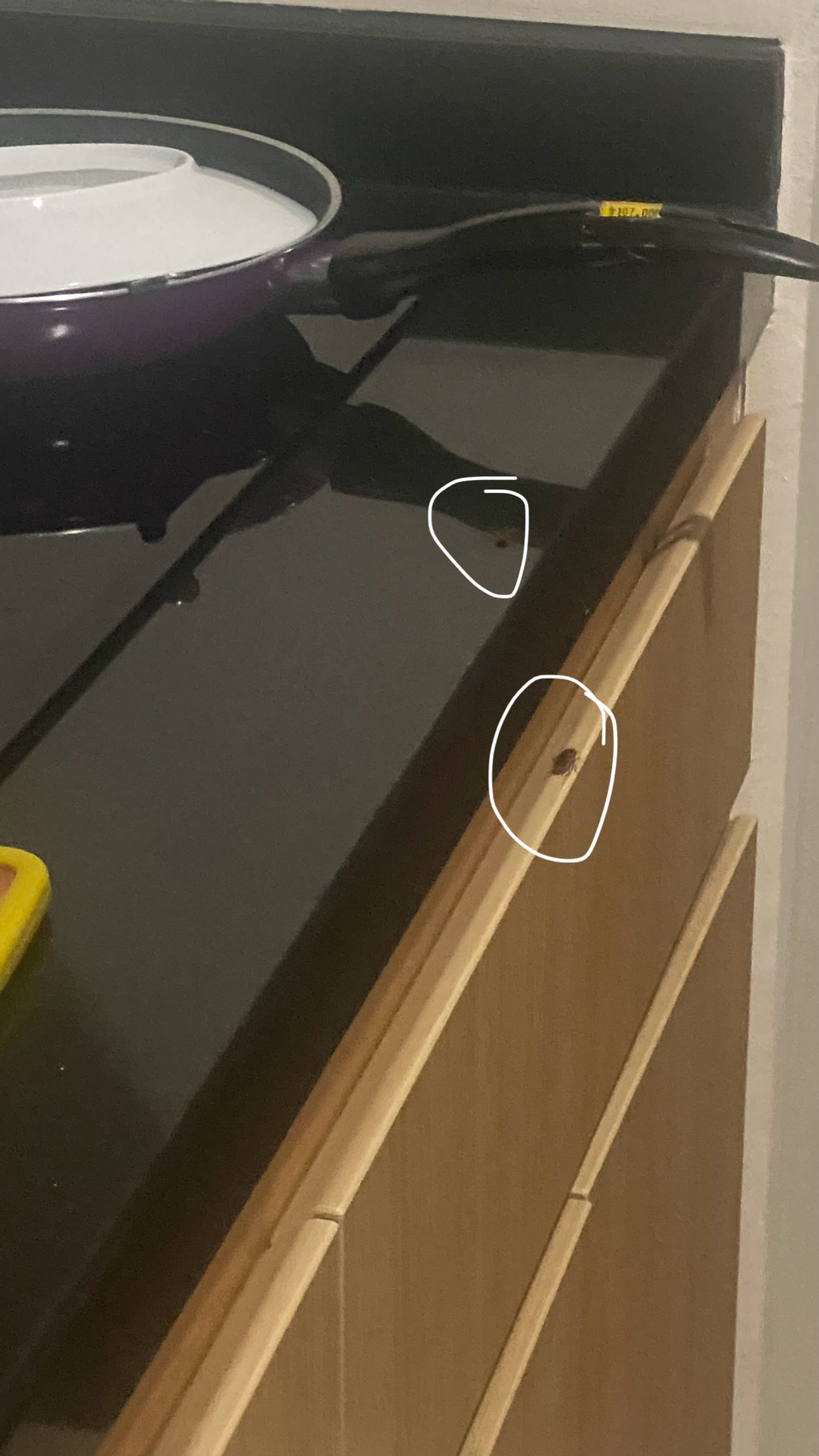 userImage-1