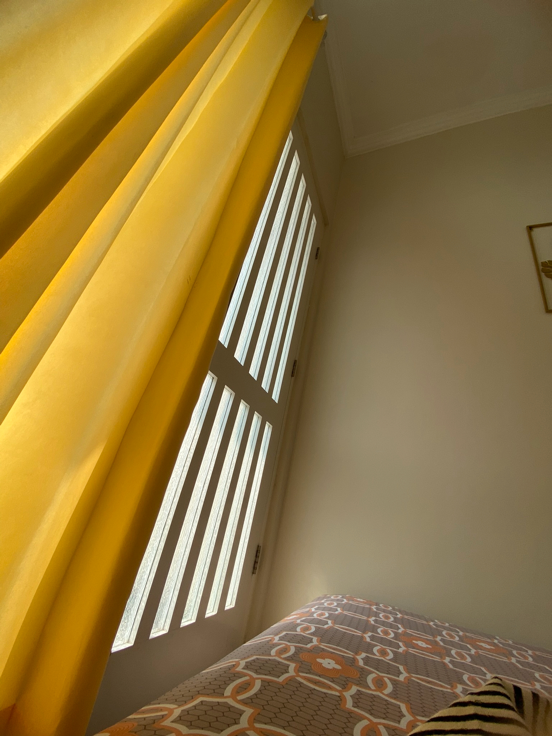 userImage-1