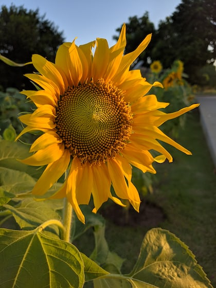 userImage-5