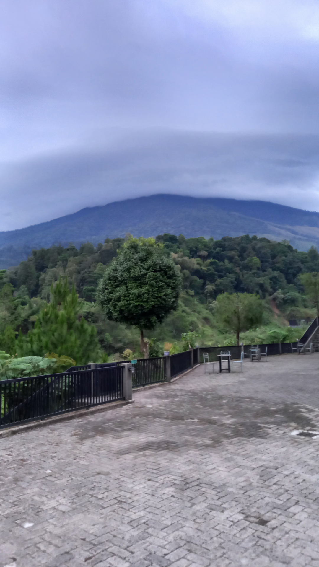 userImage-16